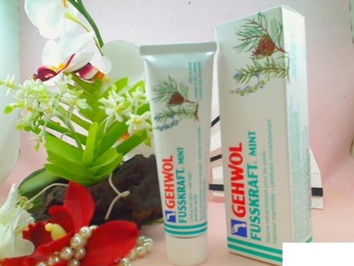 Gehwol Fusskraft Mint 75ml Cream 0